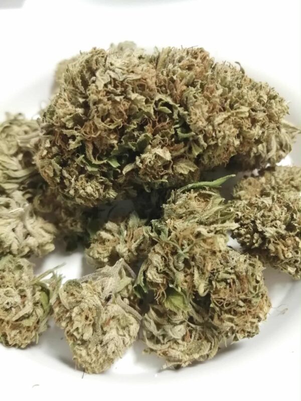 MANGO HAZE – Image 3