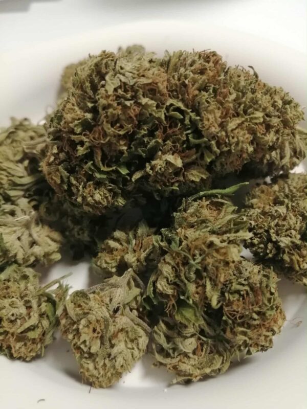 MANGO HAZE