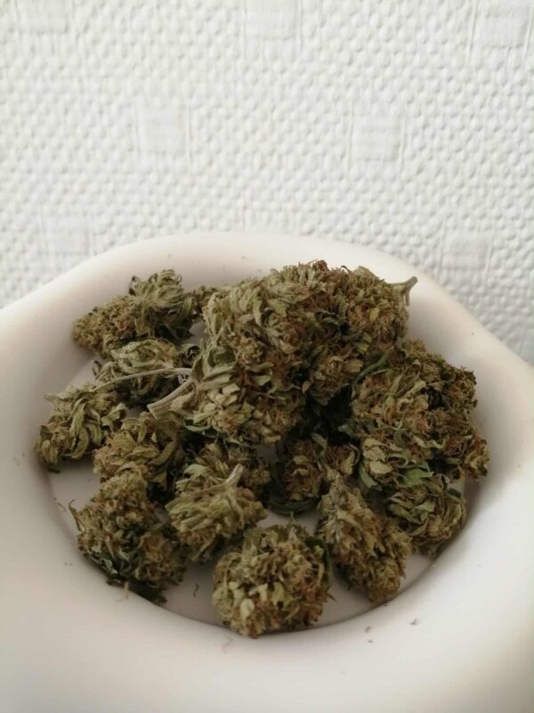 MANGO HAZE – Image 2